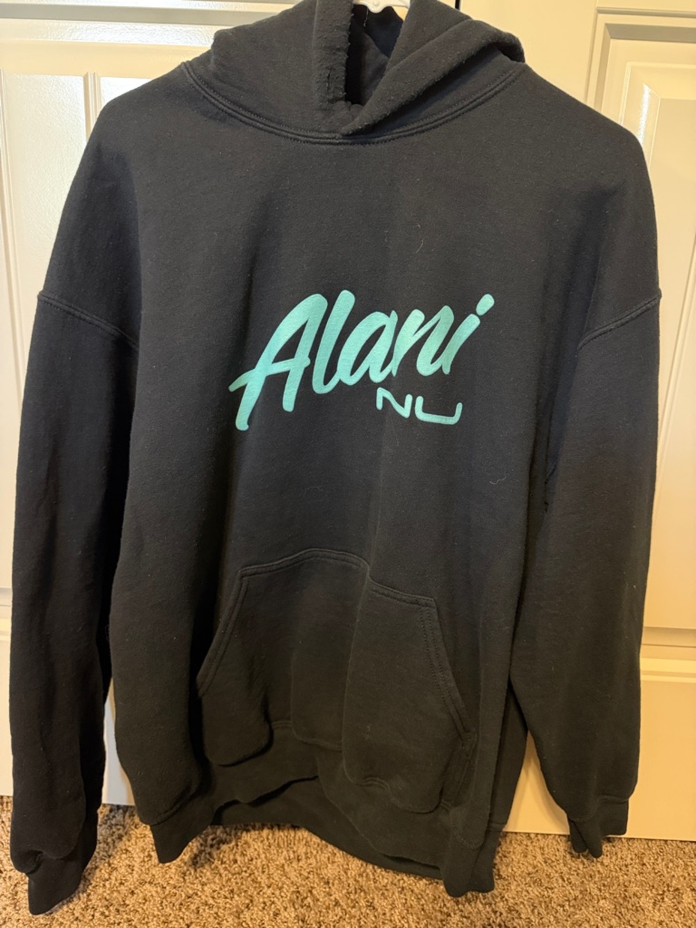 Gildan Black Hoodie with Teal Script Logo